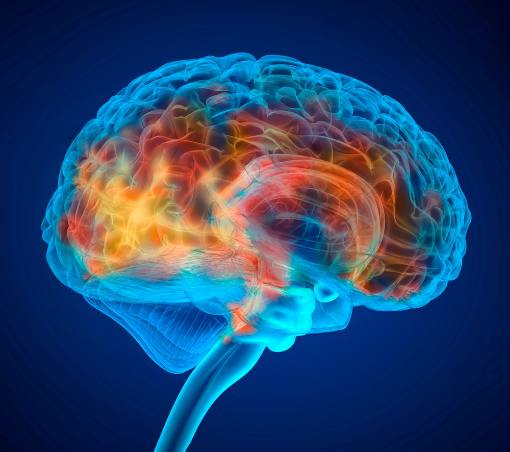 Человеческий мозг. Изучение головного мозга. Нейронные связи в мозге. Нейронная активность мозга.