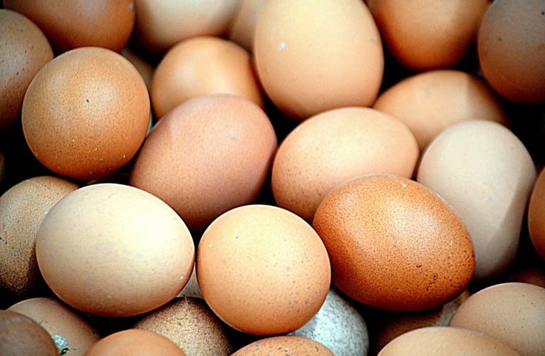 Какие три вида яиц ни в коем случае нельзя есть